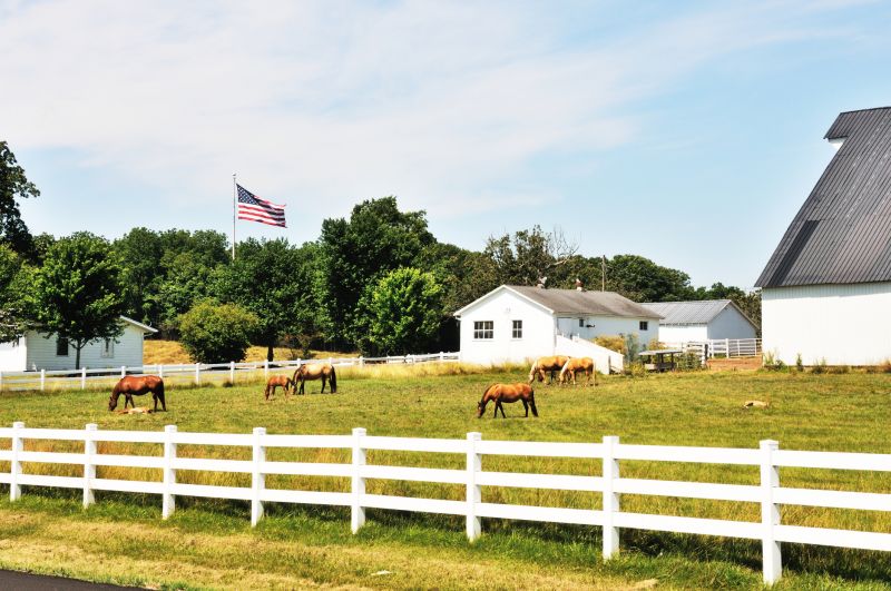 Equine Fence Installation in Pearland, TX