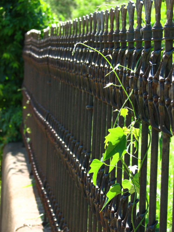 Iron Fence Replacement in Alpharetta, GA